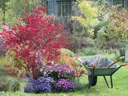Novembre Au Jardin Quels Travaux Realiser Avec Images Jardins Entretien Jardin Jardinage