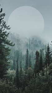 Gothic aesthetic slytherin aesthetic gray aesthetic black and white aesthetic backgrounds wallpapers aesthetic wallpapers phone. Pin By Morticia Addams On Invierno Landscape Wallpaper Forest Wallpaper Iphone Nature Photography