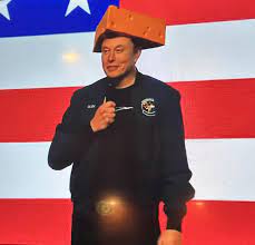 Pro D.O.G.E. Elon Musk