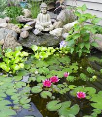 We did not find results for: Lotus Flowers For Your Garden Pond