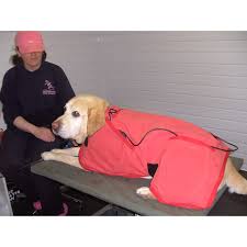 Canine Therapies, Preston