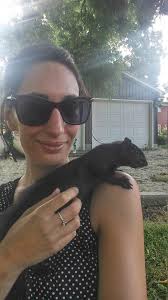 Meet Sonny the friendly squirrel