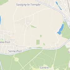 Queste macchine potevano stampare 1.100 fogli l'ora, ma i tipografi erano in grado di impostare solo 2.000 lettere l'ora. Le Piston Francais Savigny Le Temple 77176 Seine Et Marne 1 Rue D