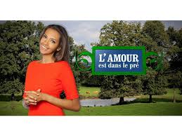Pourquoi J En Ai Ras Le Bol De L Amour Est Dans Le Pre Karine Le Marchand Le Pre Amour