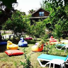 Bahce Manzarasi Picture Of Selvim Bungalow Olympos Tripadvisor