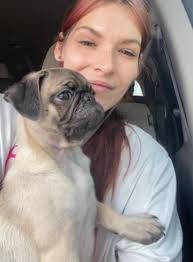 Majestic pug pictures