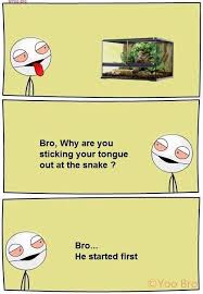 Top 27 Bro Memes Some Funny Jokes Bro Jokes Fun Quotes Funny