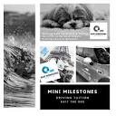 Mini Milestones Driving Tuition