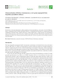 Image result for Huberantha mossambicensis