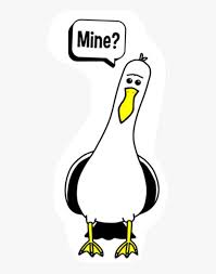 Scseagull Seagull Nemo Disney Mine Freetoedit Seagulls Meme Hd Png Download Transparent Png Image Pngitem