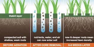 Maybe you would like to learn more about one of these? Coring And Verti Cutting The Differences And Benefits Explained The Lawncare Man