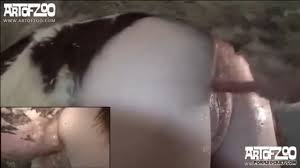 Hàng ngàn món hời từ bất động sản, nhà cửa, xe cộ, đồ điện tử, thú cưng, vật. Xxx Thu Váº­t Ä'á»‹t Nhau Vá»›i Lá»£n