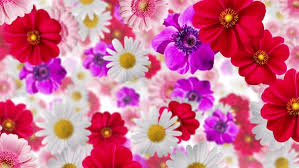 Download 830,000+ royalty free flower background vector images. Flower Background 4k By Patgrap Videohive