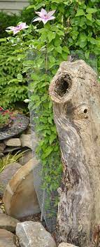 Jul 26, 2021 · hosta plants are popular perennials grown for their foliage. Simple And Cheap Tips For Preventing Deer Rabbits From Eating Your Plants Buffalo Niagaragardening Com