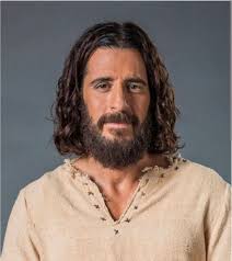 His hair reminds me of a tumbleweed. One strong wind and its gone Elias  Sabouri Beau Gilmore