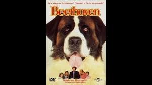 I migliori film usciti al cinema direttamente sul tuo smartphone/tablet. Beethoven Truefrench Youtube