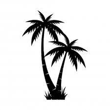 Vector De Plantilla De Diseno Grafico De Palmera Aislado Pictograma Modelo Grafico Png Y Vector Para Descargar Gratis Pngtree Vector Trees Cartoon Palm Tree Tree Icon