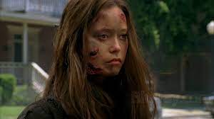 Few franchises have been as stubborn as terminator. Terminator The Sarah Connor Chronicles The Complete Second Season Blu Ray Release Date September 22 2009