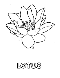 Lotus coloring page illustrations & vectors. Free Printable Lotus Coloring Pages For Kids