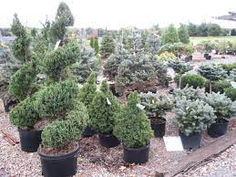 Sawyer's landscapers proudly serve western pa.'s clarion county, jefferson county and armstrong county. Garden Center And Landscape Design Services In Clarion County Jefferson County And Armstrong County