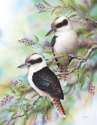 Pin On Birds