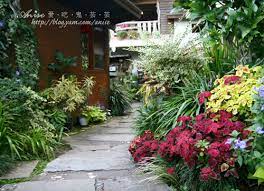 山形玫瑰 令人屏息的美景與美食 plants anise places