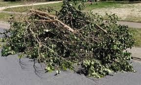 Baumschnitt im herbst garten ratgeber com. Baumschnitt Selbst De