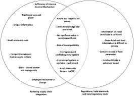 A blockchain is a growing list of records, called blocks, that are linked using cryptography. A Sustainable Blockchain Framework For The Halal Food Supply Chain Lessons From Malaysia Sciencedirect