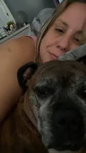 Introduction of new member and her boxer dog