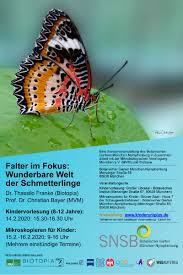 Falter Im Fokus Wunderbare Welt Der Schmetterlinge