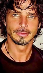 Chris's eyes are beautiful; they reflect his gentle, kind, and sensible  soul. When you look into those eyes, it's as if you're drowning in them,  because they capture my gaze. Who feels