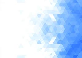 báo cáo thường niên - 2019 - Người quan sát