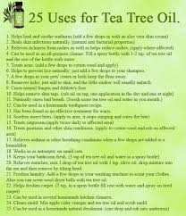 Tea tree oil is obtained from the leaves of melaleuca alternifolia. Tea Tree Oil Also Good For Those Stretched Ears Tea Tree Oil Uses Tea Tree Essential Oil Essential Oils