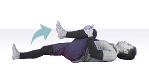 腸腰筋ストレッチの4つの効果と難易度別の10種の運動方法をご紹介 | 科学的介護ソフト「Rehab Cloud」