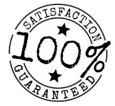 Publicdomainvectors Org 100 Percent Satisfaction Guaranteed Vector Jade Bangle Bangle Bracelets Pure Products