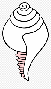 Saved by university of south florida. Conch Shell Drawing 18 Buy Clip Art Clip Art Buddhist Symbols Png Download 1318072 Pinclipart