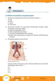 Tanaman menjadi cepat tua b. Pernyataan Berikut Ini Yang Tidak Berhubungan Dengan Sistem Pengeluaran Manusia Adalah Belajar