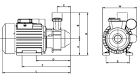 How a Self-Priming Pump Works - DJ Gongol and Associates