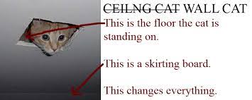 Maybe you would like to learn more about one of these? Til That Ceiling Cat Is Actually Wall Cat Warning Cannot Be Unseen Todayilearned