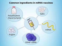 What To Know About Covid 19 Vaccine Ingredients Allergic Reactions