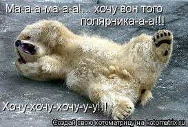 котоматри HivJh al koto mat rixTnu / котоматрица / смешные картинки и  другие приколы: комиксы, гиф анимация, видео, лучший интеллектуальный юмор.