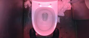 The most common type of toilet bowl rings are brown/rust in color and are caused by iron and/or manganese ions present in the water. What Is The Pink Deposit That Is Sometimes Seen In Toilets And Around Sinks And Bathtubs Office For Science And Society Mcgill University