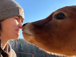 Fundraiser by Stacie Edwards : Apple's Road to Recovery