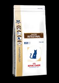 Gastro Intestinal Dry Royal Canin