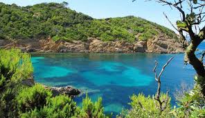 Discover The Island Of Port Cros In The Var