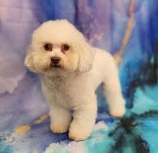 Today my baby brother received this high school diploma. I'm so proud of  him.