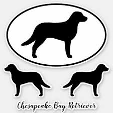 Black And White Chesapeake Bay Retriever Chesapeake Bay Retriever Silhouettes Sticker Set Zazzle Com In 2020 Chesapeake Bay Retriever Chesapeake Retriever Dog Silhouette