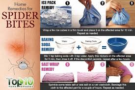 10 Home Remedies That Help Heal Spider Bites Naturally Top 10 Home Remedies Home Remedies For Spiders Spider Bites Remedies