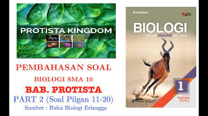 Buku biologi kelas 11 irnaningtyas. Pembahasan Bab Protista Biologi X Irnaningtias Mas Dayat