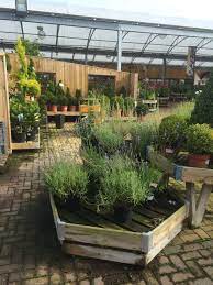 Check spelling or type a new query. Dobbies Chesterfield Garden Centre Garden Retail Lifestyle Layout Landscape Visual Merchandising Www Clearretailgro Garden Center Plants Garden